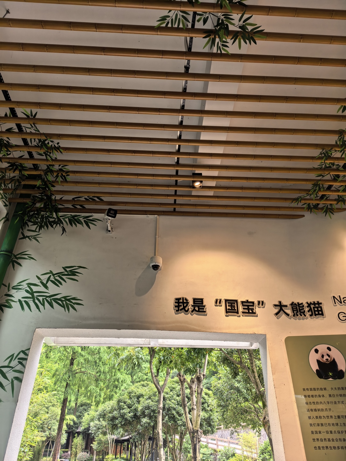 微信图片_20250603160109.jpg